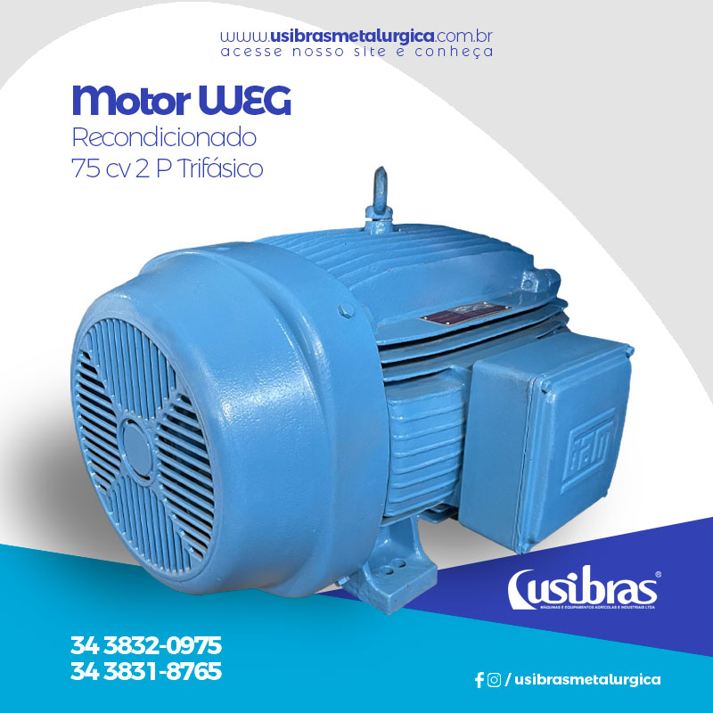 Motor WEG